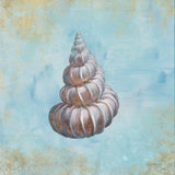 Treasures from the Sea II Watercolor by Danhui Nai. SKU 26758a. Archival Giclee Fine art print for wall decor.