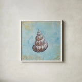 Treasures from the Sea II Watercolor by Danhui Nai. Shown in a crisp white glass frame for a clean and minimalist style. Available as an archival giclee rolled canvas, fine art paper, or poster print. SKU 26758a.
