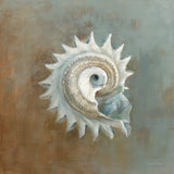Treasures from the Sea III by Danhui Nai. SKU 20691a. Archival Giclee Fine art print for wall decor.
