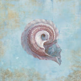 Treasures from the Sea III Watercolor by Danhui Nai. SKU 26759a. Archival Giclee Fine art print for wall decor.