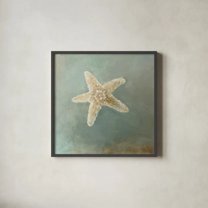 Treasures from the Sea IV by Danhui Nai. Shown in a sleek black glass frame for a contemporary gallery look. Available as an archival giclee rolled canvas, fine art paper, or poster print. SKU 20692a.