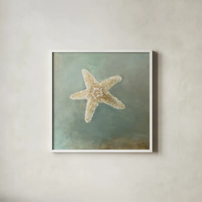 Treasures from the Sea IV by Danhui Nai. Shown in a crisp white glass frame for a clean and minimalist style. Available as an archival giclee rolled canvas, fine art paper, or poster print. SKU 20692a.