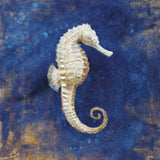 Treasures from the Sea Indigo I by Danhui Nai. SKU 20048a. Archival Giclee Fine art print for wall decor.