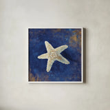 Treasures from the Sea Indigo IV by Danhui Nai. Shown in a crisp white glass frame for a clean and minimalist style. Available as an archival giclee rolled canvas, fine art paper, or poster print. SKU 20051a.