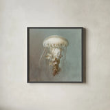 Treasures from the Sea VI by Danhui Nai. Shown in a sleek black glass frame for a contemporary gallery look. Available as an archival giclee rolled canvas, fine art paper, or poster print. SKU 20694a.