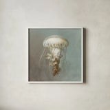 Treasures from the Sea VI by Danhui Nai. Shown in a crisp white glass frame for a clean and minimalist style. Available as an archival giclee rolled canvas, fine art paper, or poster print. SKU 20694a.