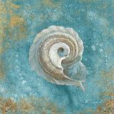 Treaures from the Sea III Aqua by Danhui Nai. SKU 21827a. Archival Giclee Fine art print for wall decor.