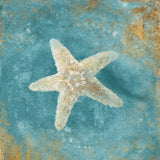 Treaures from the Sea IV Aqua by Danhui Nai. SKU 21828a. Archival Giclee Fine art print for wall decor.