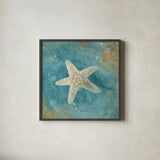 Treaures from the Sea IV Aqua by Danhui Nai. Shown in a sleek black glass frame for a contemporary gallery look. Available as an archival giclee rolled canvas, fine art paper, or poster print. SKU 21828a.