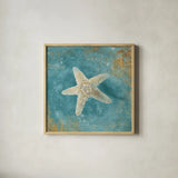 Treaures from the Sea IV Aqua by Danhui Nai. Shown in a natural wood glass frame for a timeless modern aesthetic. Available as an archival giclee rolled canvas, fine art paper, or poster print. SKU 21828a.