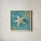 Treaures from the Sea IV Aqua by Danhui Nai. Shown in a crisp white glass frame for a clean and minimalist style. Available as an archival giclee rolled canvas, fine art paper, or poster print. SKU 21828a.