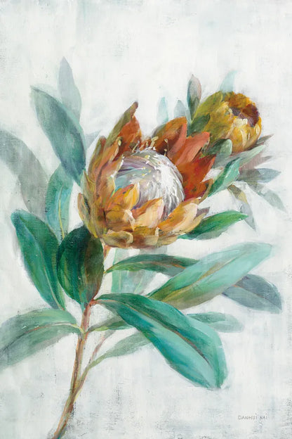 Tropical Protea by Danhui Nai. SKU 56275h. Archival Giclee Fine art print for wall decor.