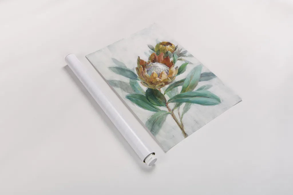 Tropical Protea by Danhui Nai. shown as a rolled paper print. Available as archival giclee rolled canvas, fine art paper, or poster print. SKU 56275h.