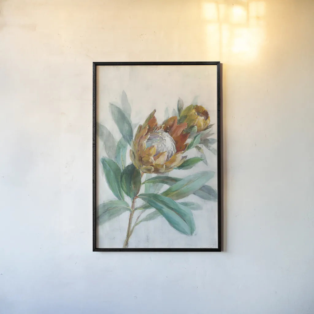 Tropical Protea by Danhui Nai. shown as a paper print in a black flame. Available as a archival giclee rolled canvas, fine art paper, or poster print. SKU 56275h.