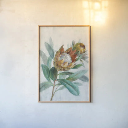 Tropical Protea by Danhui Nai. shown as a paper print in a natural frame. Available as a archival giclee rolled canvas, fine art paper, or poster print. SKU 56275h.