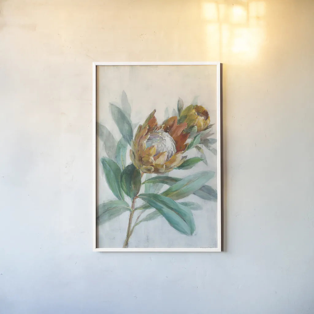 Tropical Protea by Danhui Nai. shown as a paper print in a white frame. Available as a archival giclee rolled canvas, fine art paper, or poster print. SKU 56275h.