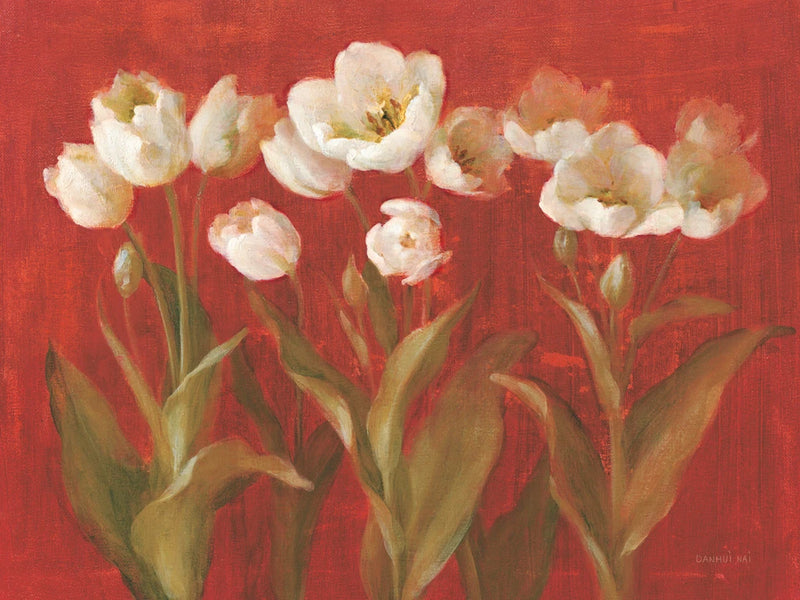 Tulip Garden by Danhui Nai