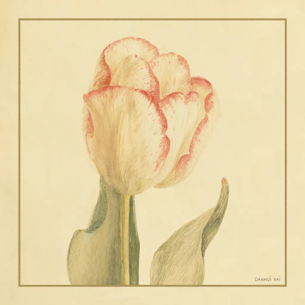Tulip I by Danhui Nai. SKU 5352a. Archival Giclee Fine art print for wall decor.