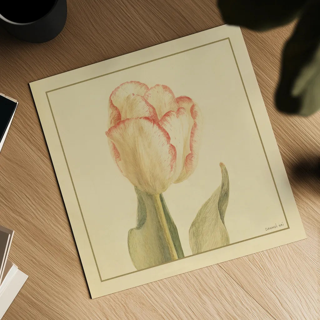Tulip I by Danhui Nai. Shown as a detailed flat fine art print, highlighting archival giclee quality. Available as an archival giclee rolled canvas, fine art paper, or poster print. SKU 5352a.