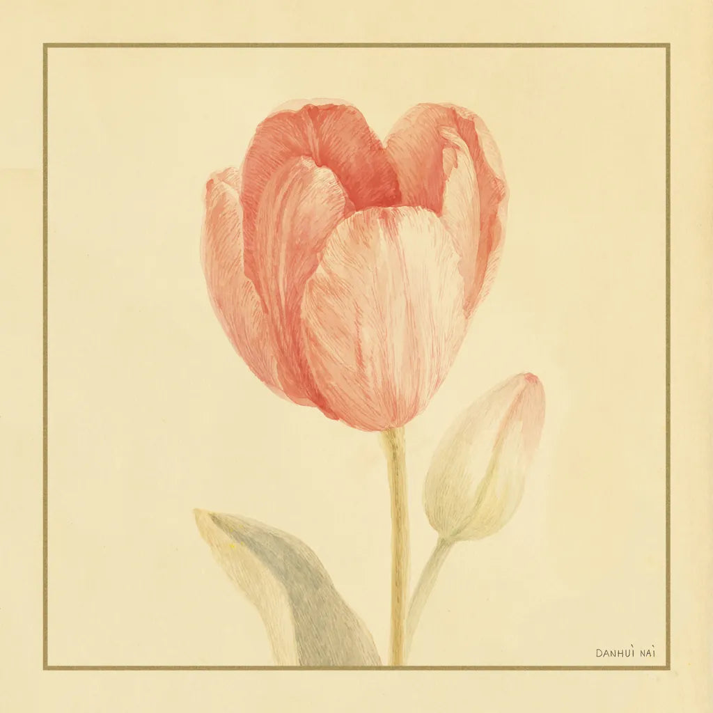 Tulip III by Danhui Nai. SKU 5354a. Archival Giclee Fine art print for wall decor.