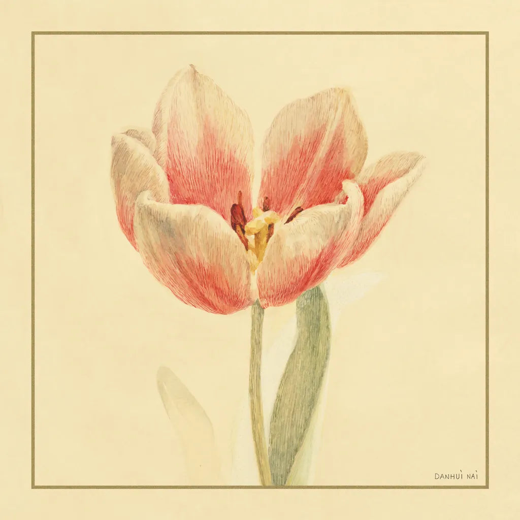 Tulip IV by Danhui Nai. SKU 5355a. Archival Giclee Fine art print for wall decor.