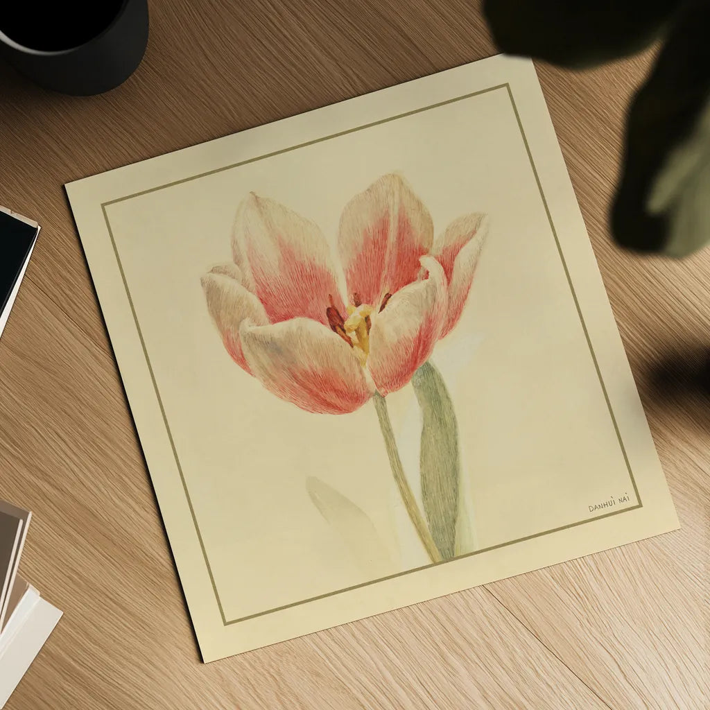 Tulip IV by Danhui Nai. Shown as a detailed flat fine art print, highlighting archival giclee quality. Available as an archival giclee rolled canvas, fine art paper, or poster print. SKU 5355a.