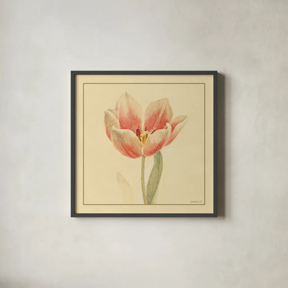 Tulip IV by Danhui Nai. Shown in a sleek black glass frame for a contemporary gallery look. Available as an archival giclee rolled canvas, fine art paper, or poster print. SKU 5355a.