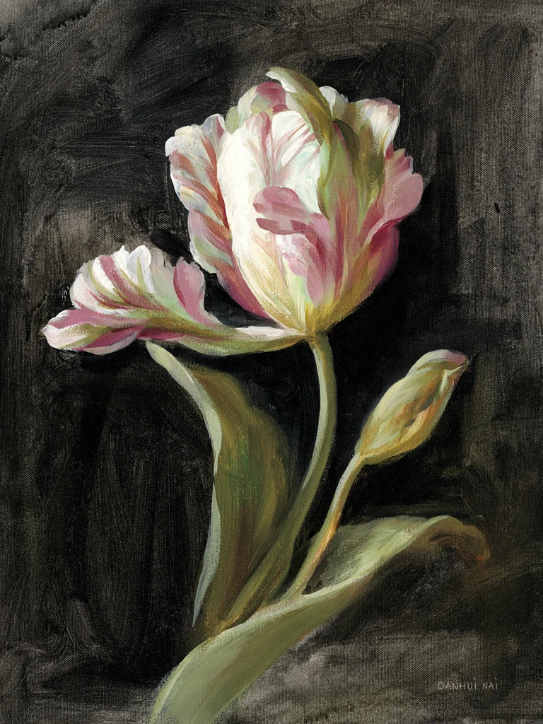 Tulip on Black by Danhui Nai