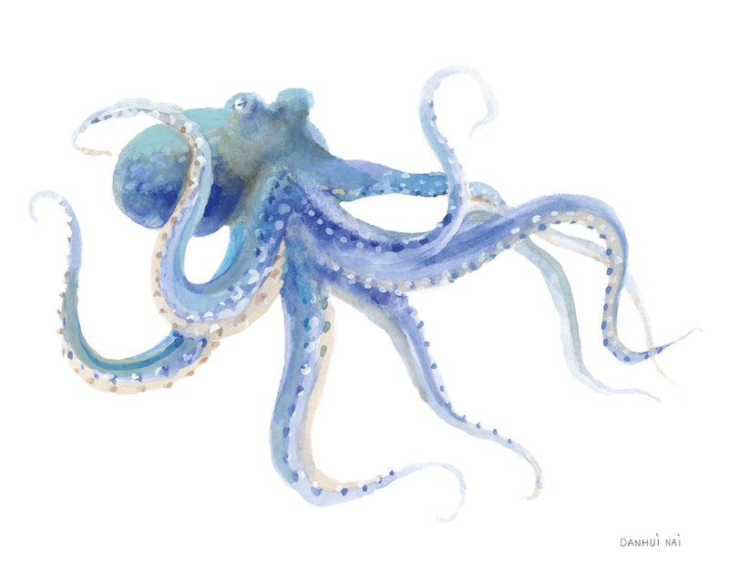 Undersea Octopus by Danhui Nai