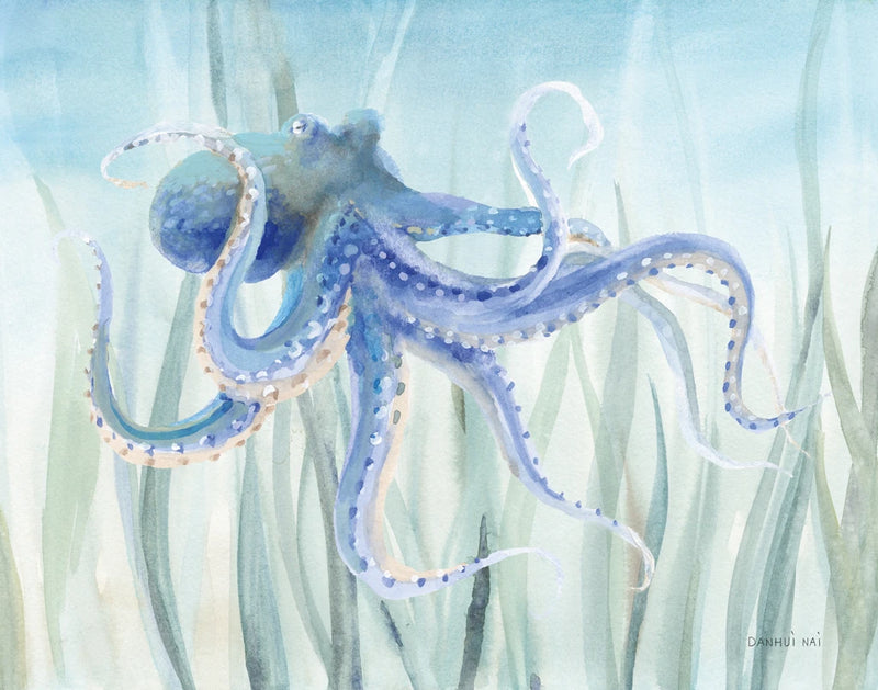 Undersea Octopus Seaweed by Danhui Nai