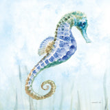 Undersea Seahorse Swimming II by Danhui Nai. SKU 84798a. Archival Giclee Fine art print for wall decor.