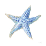 Undersea Starfish by Danhui Nai. SKU 83139a. Archival Giclee Fine art print for wall decor.
