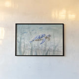 Undersea Turtle by Danhui Nai. shown as a paper print in a black flame. Available as a archival giclee rolled canvas, fine art paper, or poster print. SKU 71228i.