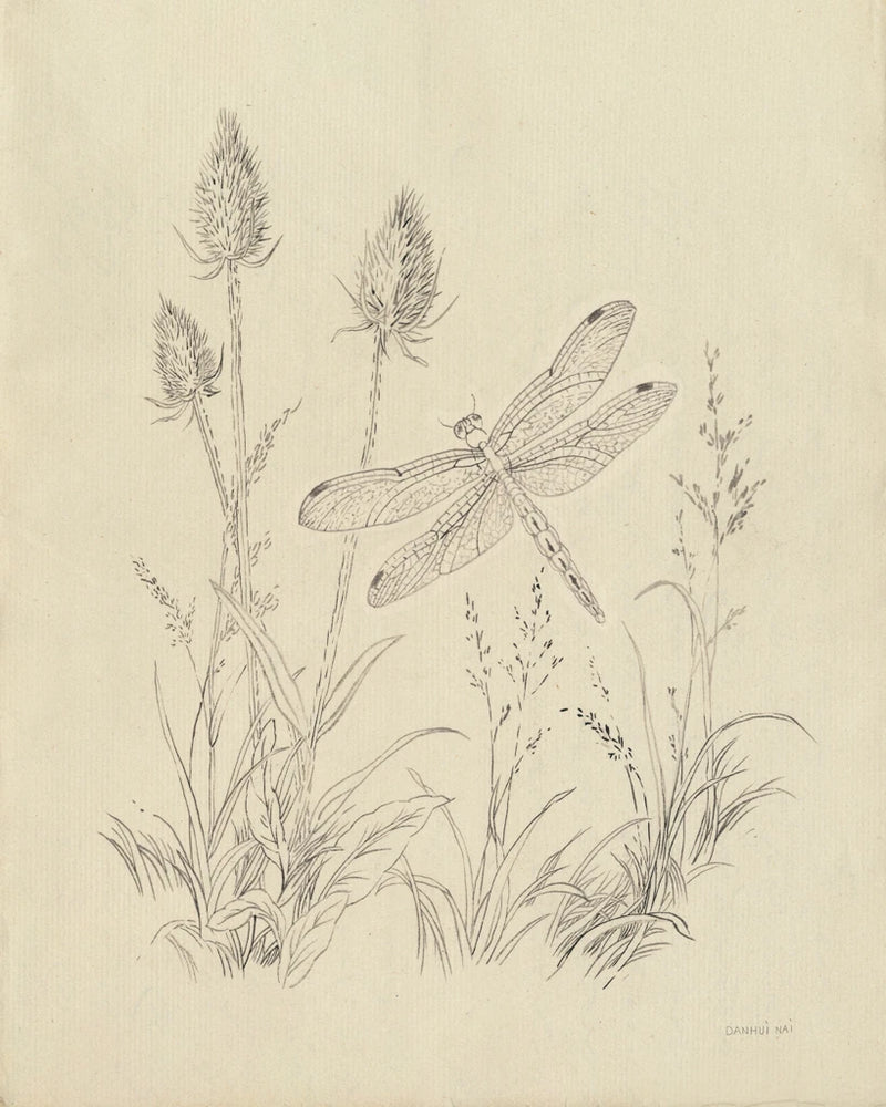 Vintage Nature Sketchbook IV by Danhui Nai