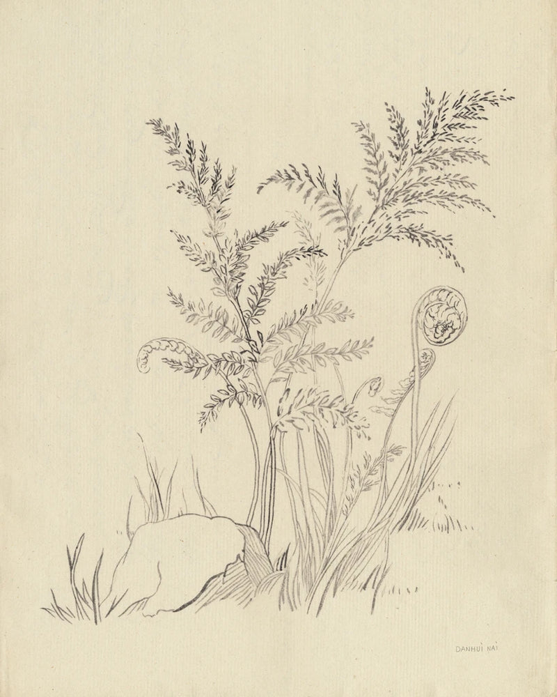 Vintage Nature Sketchbook VI by Danhui Nai