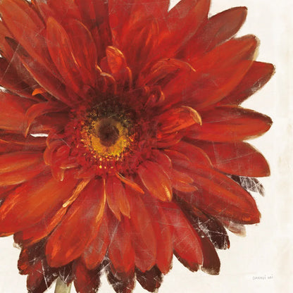 Vivid Daisy Dark Red Crop by Danhui Nai. SKU 51394a. Archival Giclee Fine art print for wall decor.