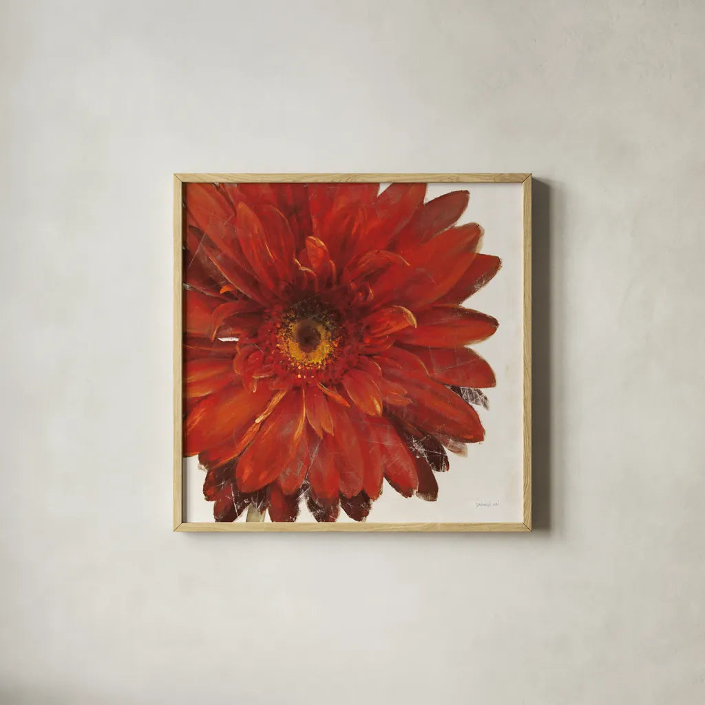 Vivid Daisy Dark Red Crop by Danhui Nai. Shown in a natural wood glass frame for a timeless modern aesthetic. Available as an archival giclee rolled canvas, fine art paper, or poster print. SKU 51394a.