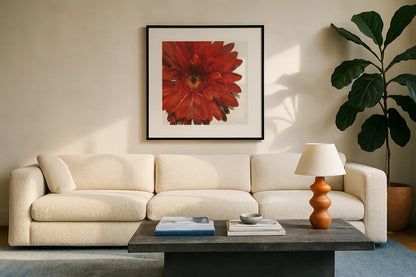 Vivid Daisy Dark Red Crop by Danhui Nai. Displayed in a glass frame with matte in a clean modern living room. Available as an archival giclee rolled canvas, fine art paper, or poster print. SKU 51394a.