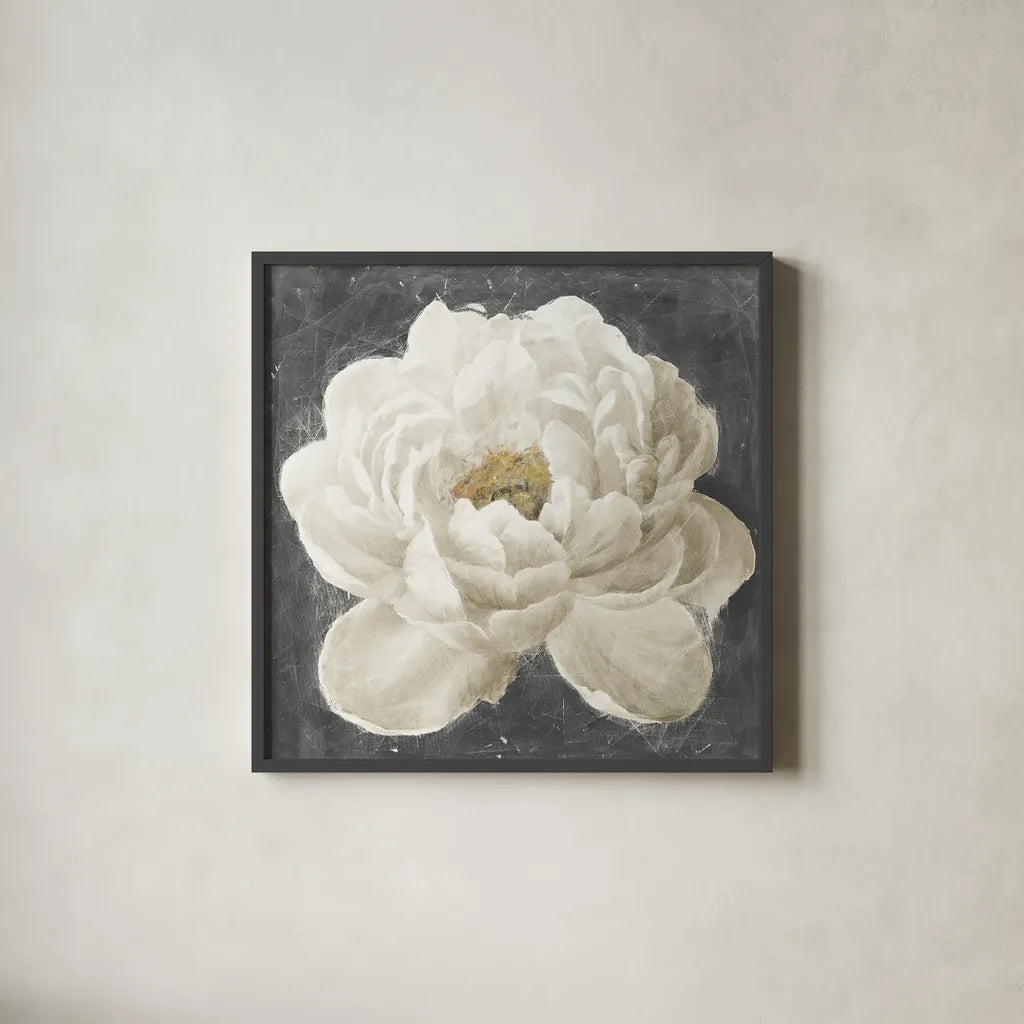 Vivid Floral I White Flower by Danhui Nai. Shown in a sleek black glass frame for a contemporary gallery look. Available as an archival giclee rolled canvas, fine art paper, or poster print. SKU 30771a.