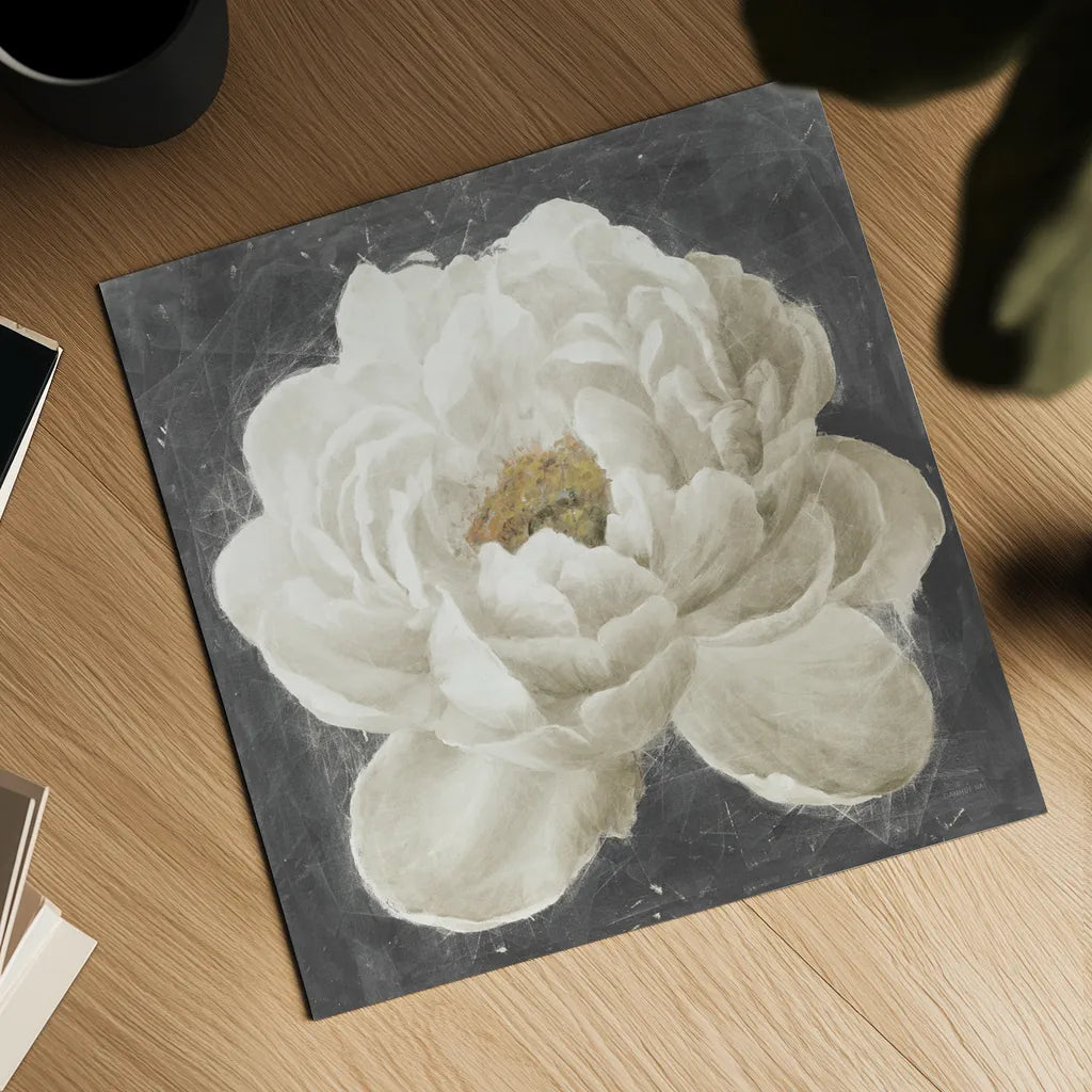 Vivid Floral I White Flower v2 by Danhui Nai. Shown as a detailed flat fine art print, highlighting archival giclee quality. Available as an archival giclee rolled canvas, fine art paper, or poster print. SKU 54267a.
