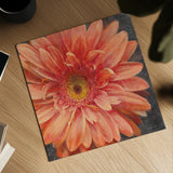 Vivid Floral II Crop by Danhui Nai. Shown as a detailed flat fine art print, highlighting archival giclee quality. Available as an archival giclee rolled canvas, fine art paper, or poster print. SKU 27968a.