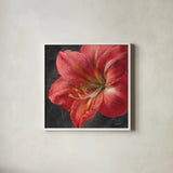 Vivid Floral III Crop by Danhui Nai. Shown in a crisp white glass frame for a clean and minimalist style. Available as an archival giclee rolled canvas, fine art paper, or poster print. SKU 27969a.