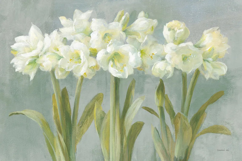 White Amaryllis by Danhui Nai. SKU 5451i. Archival Giclee Fine art print for wall decor.
