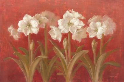 White Amaryllis on Red by Danhui Nai. SKU 5244i. Archival Giclee Fine art print for wall decor.