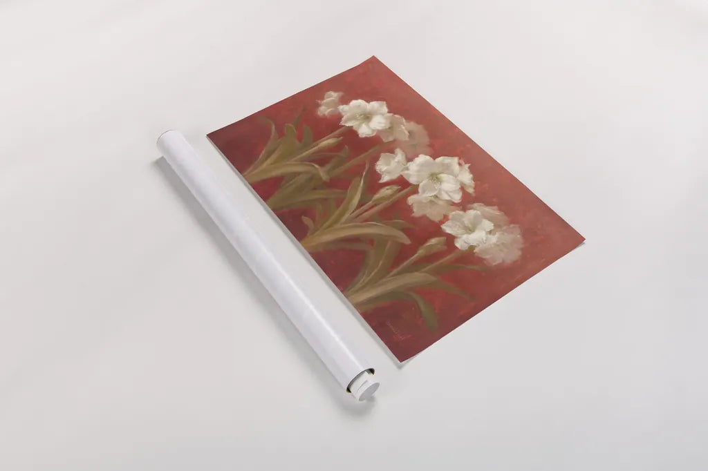 White Amaryllis on Red by Danhui Nai. shown as a rolled paper print. Available as archival giclee rolled canvas, fine art paper, or poster print. SKU 5244i.