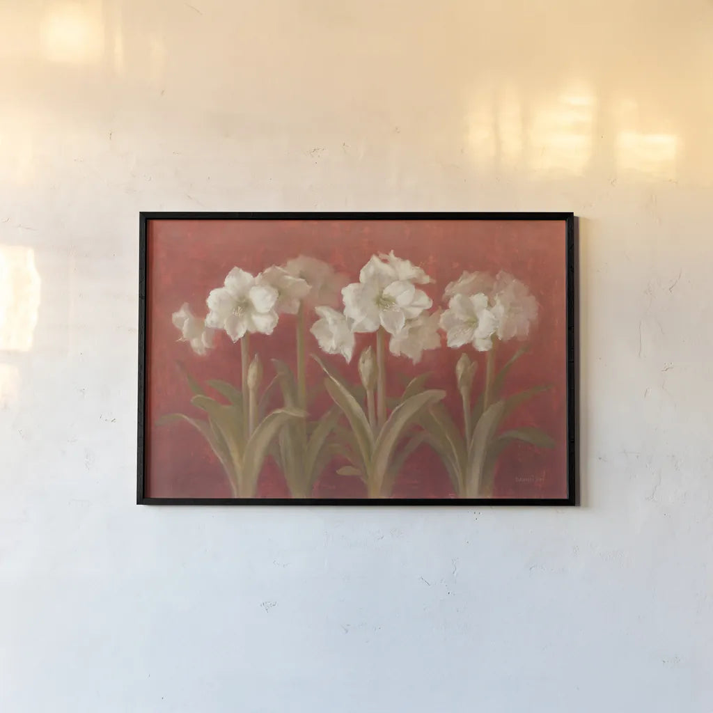White Amaryllis on Red by Danhui Nai. shown as a paper print in a black flame. Available as a archival giclee rolled canvas, fine art paper, or poster print. SKU 5244i.