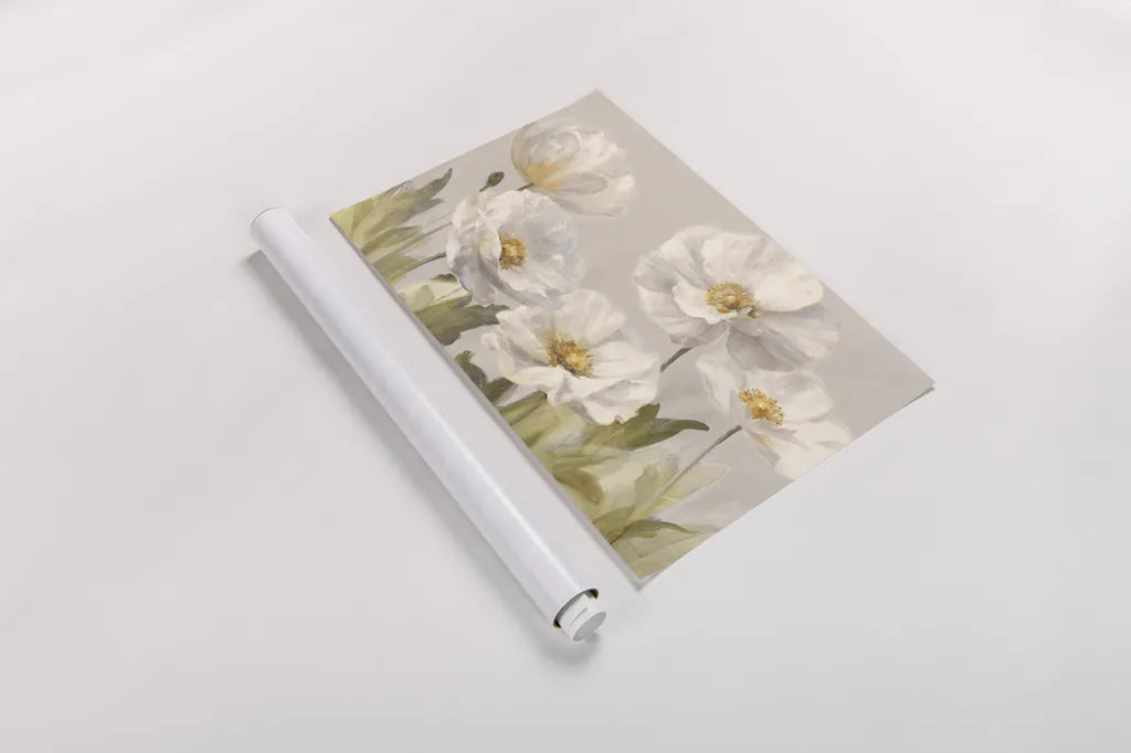 White Anemones by Danhui Nai. shown as a rolled paper print. Available as archival giclee rolled canvas, fine art paper, or poster print. SKU 66875i.