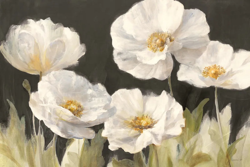 White Anemones on Black by Danhui Nai. SKU 68764i. Archival Giclee Fine art print for wall decor.