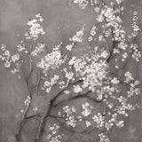 White Cherry Blossoms I on Grey Crop by Danhui Nai. SKU 30776a. Archival Giclee Fine art print for wall decor.