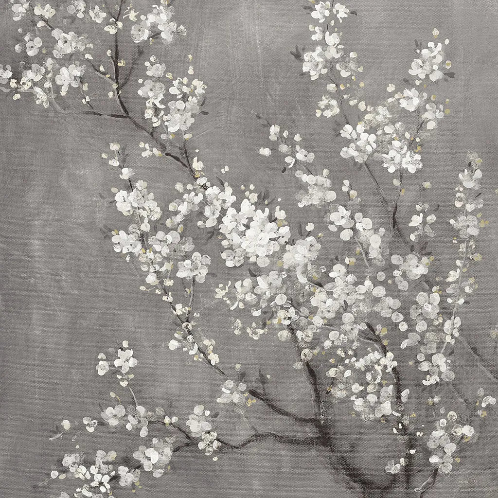 White Cherry Blossoms II on Grey Crop by Danhui Nai. SKU 30777a. Archival Giclee Fine art print for wall decor.
